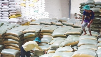 Đấu giá 2.300 tấn gạo của Cục Dự trữ Nhà nước khu vực Thanh Hóa