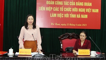 Đảng đoàn Liên hiệp các tổ chức hữu nghị Việt Nam làm việc với Thường trực Tỉnh ủy về công tác đối ngoại nhân dân