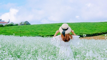 Pocket 5 គោលដៅនៅប្រទេសវៀតណាមដែលស្ថិតក្នុងរដូវកាលដ៏ស្រស់ស្អាតបំផុតក្នុងខែវិច្ឆិកានេះ។