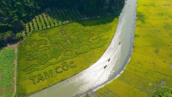 'Mục đồng thổi sáo' trên cánh đồng Tam Cốc