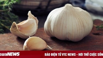 Ai không nên ăn tỏi?