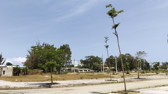 Quảng Nam bàn giải pháp gỡ khó cho doanh nghiệp bất động sản