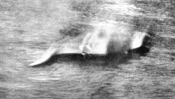 Bức ảnh từng khơi cơn sốt về quái vật hồ Loch Ness