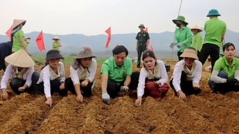 Hành tăm, củ bé tin hin, thơm nức mà Hội ND Hà Tĩnh hướng dẫn đồng bào Chứt trồng, tăng quỹ