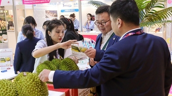 "Đại gia" ngành trái cây đem sầu riêng Việt Nam giới thiệu tại hội chợ lớn nhất châu Á