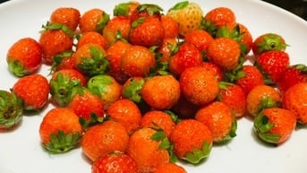 Uống nước ép trái cây, rau củ tươi có dễ bị nhiễm sán?