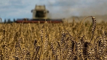 "ត្រូវបានបដិសេធ" ដោយប្រទេសប៉ូឡូញ និងប្រទេសចំនួនបួននៃសហភាពអឺរ៉ុប គ្រាប់ធញ្ញជាតិអ៊ុយក្រែនព្យាយាមស្វែងរកផ្លូវចេញ ដោយបង្ហាញពីអ្នកលេងតែមួយគត់ដែលទទួលបានអត្ថប្រយោជន៍