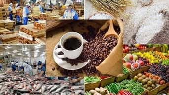 Nỗ lực "xanh hóa" để thâm nhập sâu hơn vào thị trường EU
