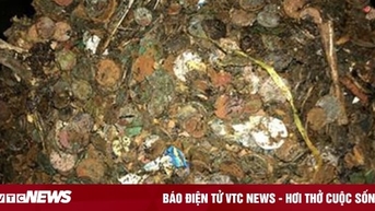 Dọn giếng khô bỏ không, bất ngờ tìm được 'kho báu'