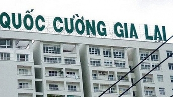 Cổ phiếu Quốc Cường Gia Lai tiếp tục tím lịm bất thường