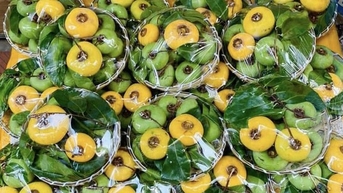 Loại quả dân dã nhìn là muốn chạy ngay về tuổi thơ, nay lên phố giá 15k/quả, đắt như tôm tươi