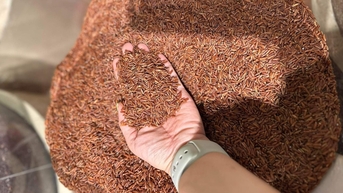8 mẹo tăng nội tiết tố cho nam giới