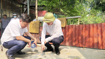 WHO cảnh báo dịch sốt xuất huyết lây lan mạnh trước sự nóng lên toàn cầu