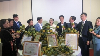 Tăng cường quảng bá, kết nối nông sản đến người tiêu dùng thông qua nền tảng mạng xã hội