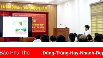 Tập huấn kỹ thuật xử lý sự cố đê điều, hồ đập và phòng chống thiên tai