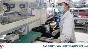 Doanh nghiệp cần làm gì để ứng phó với thách thức và cơ hội mới?