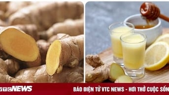 Uống nước gừng tươi vào buổi sáng có tốt?