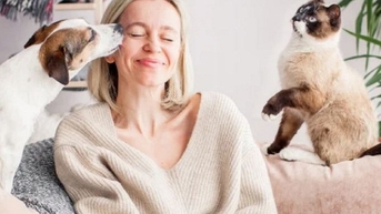Con người có bị lây nấm da từ chó mèo không?