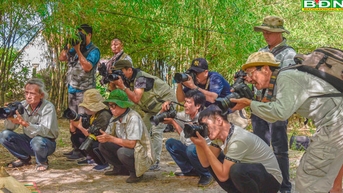ពណ៌ភ្លឺនៅក្នុងអក្សរសិល្ប៍ និងសិល្បៈ Dak Nong