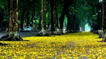 24 giờ check in mùa thu Hà Nội