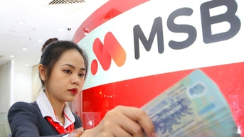 Người gửi tiền mất gần 340 tỷ ở MSB; Shark Thuỷ bị nhấn chìm bởi nợ nần