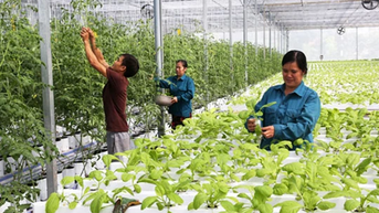 Hà Nội: Chuyển giao công nghệ thúc đẩy kinh tế tuần hoàn trong nông nghiệp