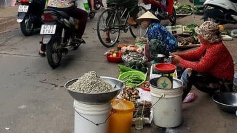 Lang thang chợ làng An Giang, mê gì đâu mớ rau dại, rổ ổi chín, cá đồng mùa nước nổi, thấy mà ham