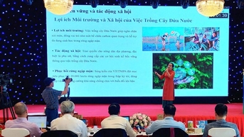 គម្រោងចាប់ផ្តើមអាជីវកម្មនៅភាគខាងត្បូងចំនួន 18 កំពុងប្រកួតប្រជែងដណ្តើមយកកន្លែងមួយនៅក្នុងជុំចុងក្រោយនៃការប្រកួតប្រជែងចាប់ផ្តើមស្ត្រីថ្នាក់ជាតិ។