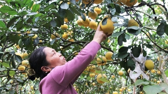 Điểm sáng xây dựng xã nông thôn mới kiểu mẫu nhờ sức mạnh đoàn kết nhân dân