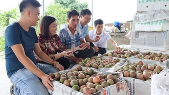 Để hàng Việt ‘bám rễ’ thị trường Hoa Kỳ