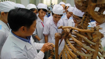 Tốt nghiệp ĐH ngành sức khỏe, có thể học các chuyên khoa nào, theo quy định mới?