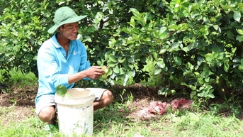 Tín dụng chính sách (Bài 2)