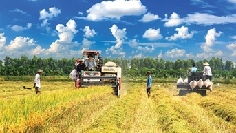 ការនាំចេញអង្ករក្នុងរយៈពេល 9 ខែទទួលបានជិត 3.54 ពាន់លានដុល្លារ