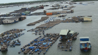 ការលើកកម្ពស់តម្លៃនៃតំបន់សមុទ្រធំ