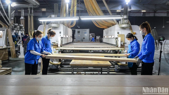 EuroCham៖ អាជីវកម្មអឺរ៉ុបមានសុទិដ្ឋិនិយមចំពោះកំណើនសេដ្ឋកិច្ចរបស់វៀតណាម