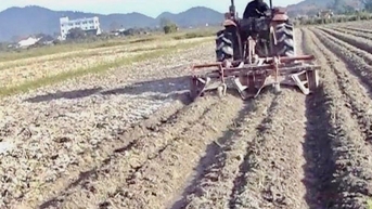 cơ giới hoá giúp tiết kiệm 10 triệu đồng/héc-ta chi phí làm đất