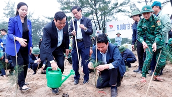 Trồng 120.000 cây phi lao chắn sóng tại bãi biển Thiên Cầm