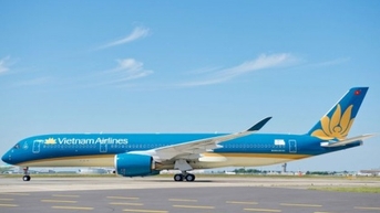 Cổ phiếu Vietnam Airlines lập đỉnh 19 tháng