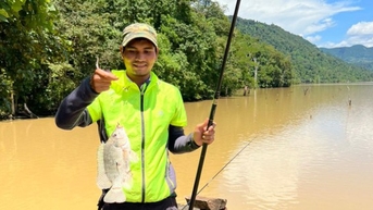 នៅតាមដងទន្លេសេសានដ៏ល្បីក្នុងខេត្ត Gia Lai ប្រជាជនចាប់បានត្រីទីឡាព្យ៉ាយក្ស ដែលមួយក្នុងចំណោមនោះមានទម្ងន់ 7 គីឡូក្រាម។