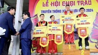 Trao giải tại Lễ hội Chọi trâu Hải Lựu năm 2024