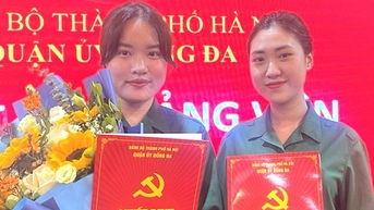 스틸로즈, 군복 색상 선택