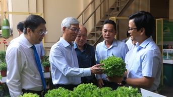 Nông nghiệp công nghệ cao ở TP HCM, đối tượng nào áp dụng nhanh, dễ tiếp nhận nhất?