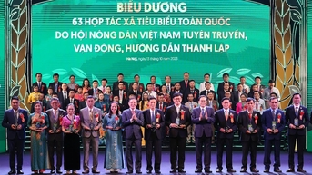 Chương trình Tự hào Nông dân Việt Nam: Bình Điền vinh dự là bạn đồng hành suốt 11 năm