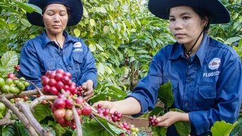 Nhiều ngành bứt tốc ngay từ đầu năm