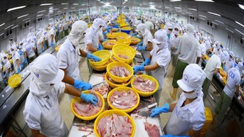 Triển vọng xuất khẩu thủy sản năm 2025 sẽ rất khả quan