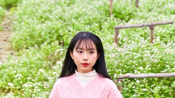 수도의 중심부에서 피어나는 메밀꽃과 노란 들해바라기의 아름다움을 감상하세요
