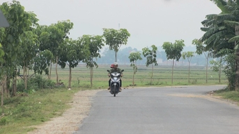 Cung đường nông thôn mới trồng cây xanh ở một huyện của Quảng Bình thoáng mát, đẹp như phim