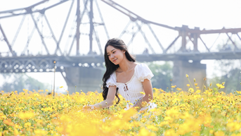 Dậy từ 3h, vượt 30km chụp ảnh “sống ảo” ở vườn hoa cúc chân cầu Long Biên