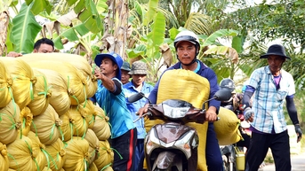 Người trồng lúa lao đao vì kênh cạn nước