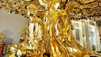 សរសើរ​ដើម​ពោធិ៍​ធ្វើ​ពី​មាស​ទម្ងន់​ជាង​២​តោន​តម្លៃ​២៦​ពាន់​លាន​ដុង